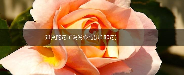 难受的句子说说心情(共180句),第1张