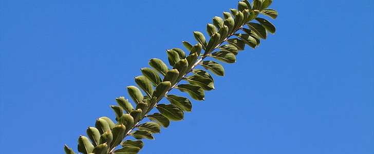 赞美厨艺好的句子(推荐151句),第3张