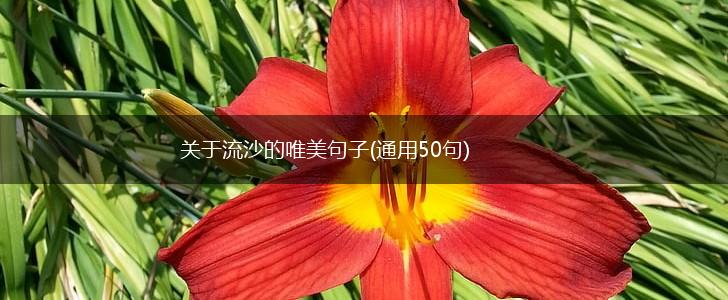 关于流沙的唯美句子(通用50句),第1张