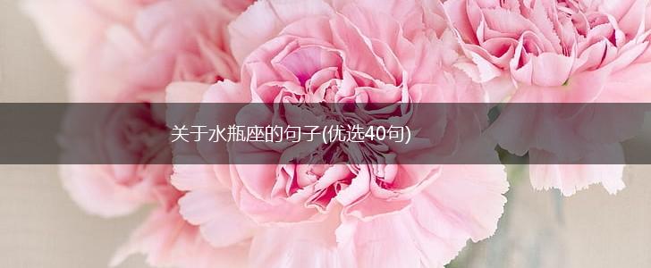 关于水瓶座的句子(优选40句),第1张