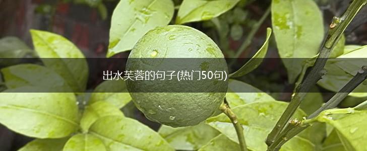 出水芙蓉的句子(热门50句),第1张