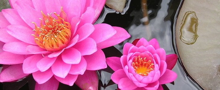 看破红尘的句子(实用220句),第3张