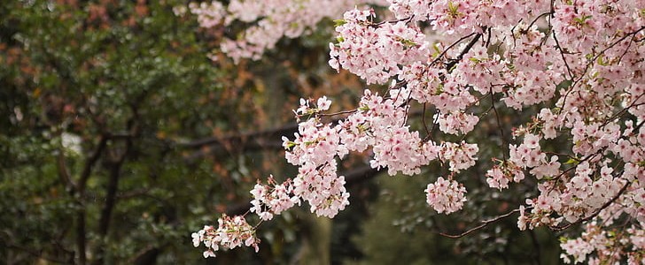 让男朋友感动哭的句子(180句),第3张