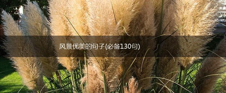 风景优美的句子(必备130句),第1张