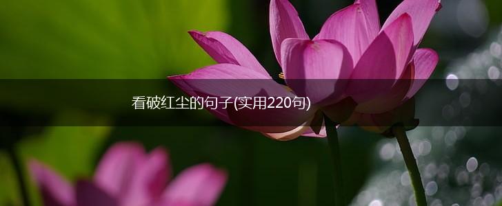 看破红尘的句子(实用220句),第1张