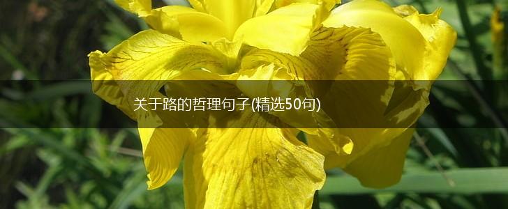 关于路的哲理句子(精选50句),第1张