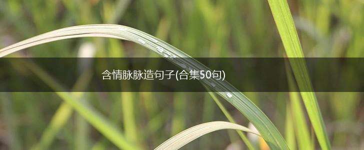 含情脉脉造句子(合集50句),第1张 含情脉脉造句子(合集50句),第1张