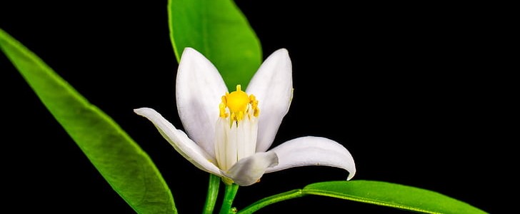 祝福发财的话(热门190句),第2张