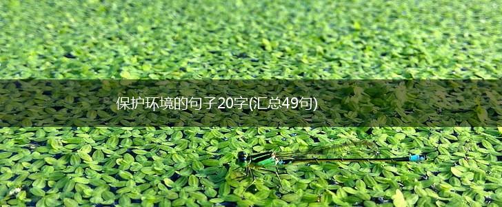 保护环境的句子20字(汇总49句),第1张