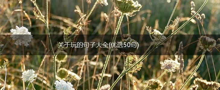 关于玩的句子大全(优选50句),第1张