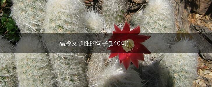 高冷又随性的句子(140句),第1张
