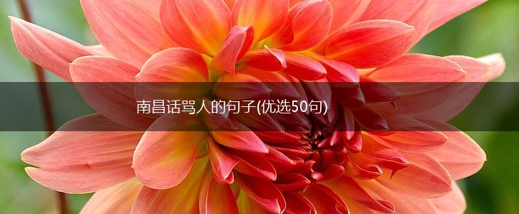 南昌话骂人的句子(优选50句),第1张 南昌话骂人的句子(优选50句),第1张