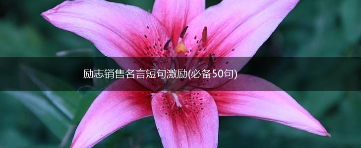 励志销售名言短句激励(必备50句),第1张