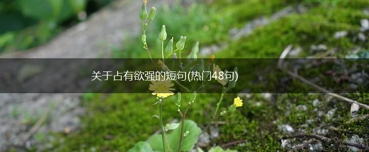 关于占有欲强的短句(热门48句),第1张