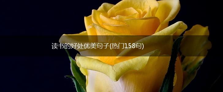 读书的好处优美句子(热门158句),第1张