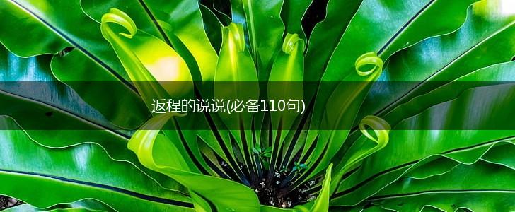 返程的说说(必备110句),第1张