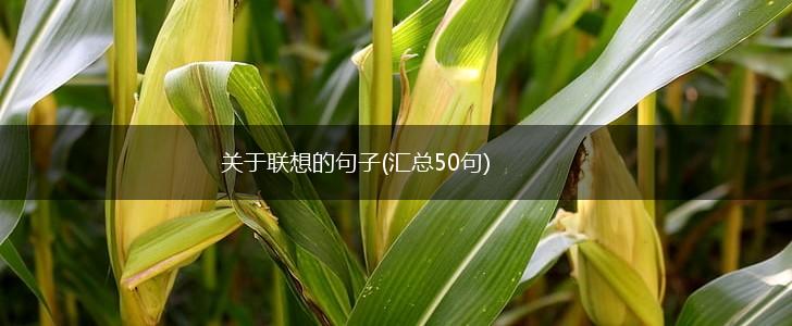 关于联想的句子(汇总50句),第1张