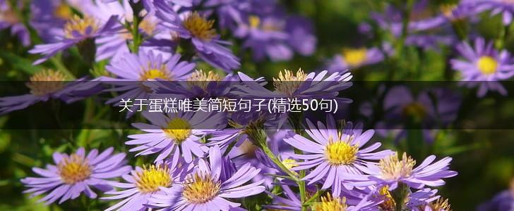 关于蛋糕唯美简短句子(精选50句),第1张