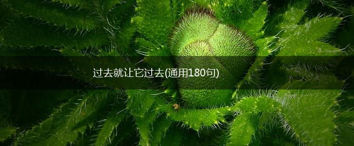 过去就让它过去(通用180句),第1张