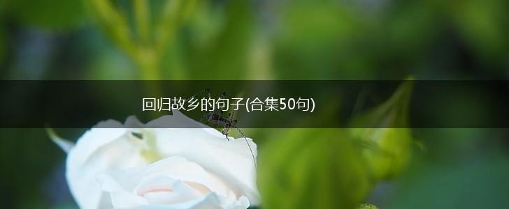 回归故乡的句子(合集50句),第1张