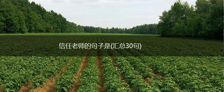 信任老师的句子是(汇总30句),第1张