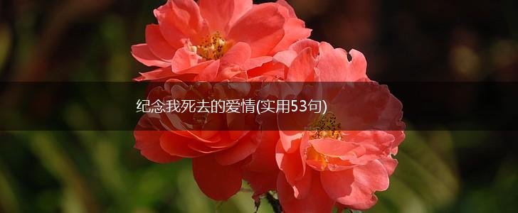 纪念我死去的爱情(实用53句),第1张