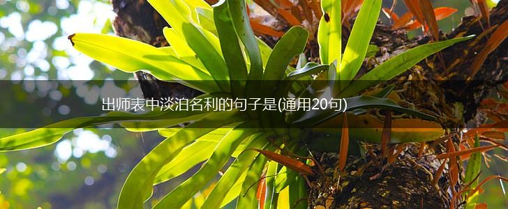 出师表中淡泊名利的句子是(通用20句),第1张
