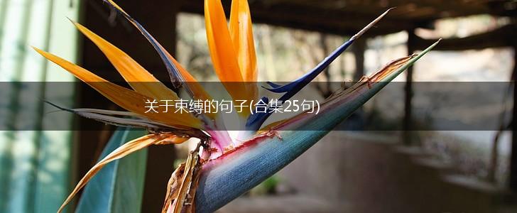 关于束缚的句子(合集25句),第1张