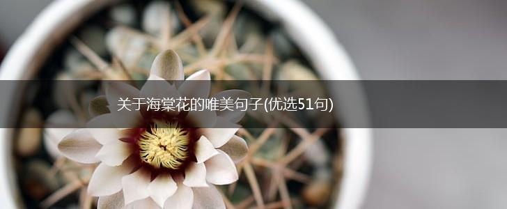 关于海棠花的唯美句子(优选51句),第1张