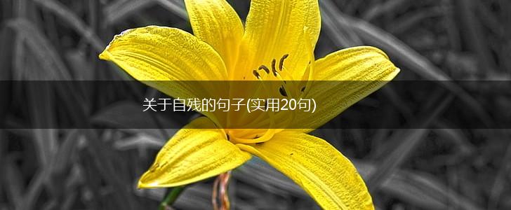 关于自残的句子(实用20句),第1张 关于自残的句子(实用20句),第1张