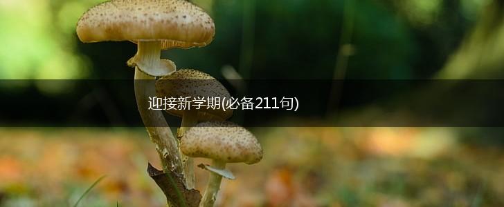 迎接新学期(必备211句),第1张