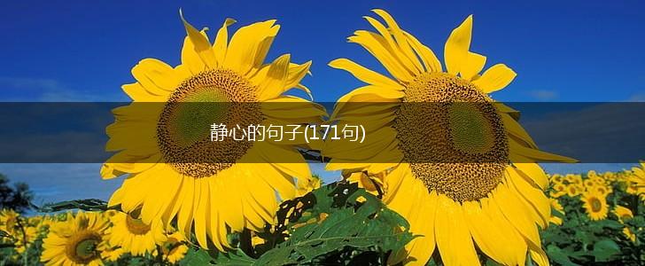 静心的句子(171句),第1张