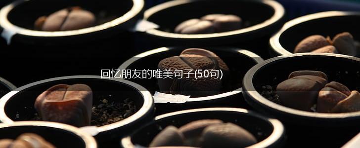 回忆朋友的唯美句子(50句),第1张