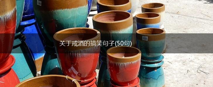 关于戒酒的搞笑句子(50句),第1张