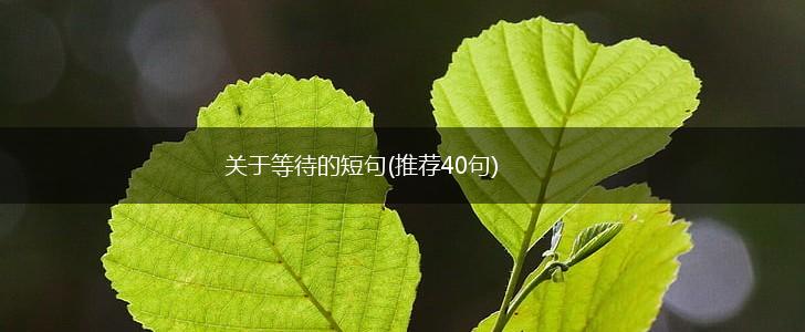 关于等待的短句(推荐40句),第1张