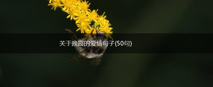 关于晚霞的爱情句子(50句),第1张