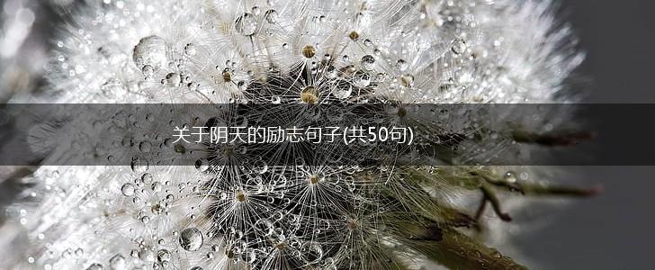 关于阴天的励志句子(共50句),第1张