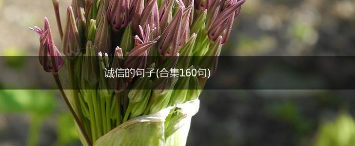 诚信的句子(合集160句),第1张