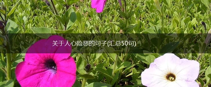 关于人心险恶的句子(汇总50句),第1张