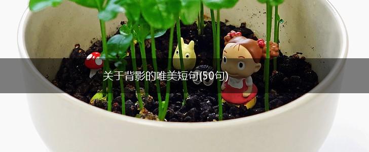 关于背影的唯美短句(50句),第1张