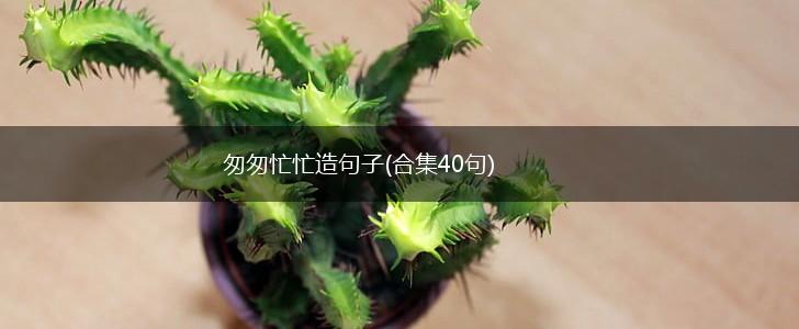 匆匆忙忙造句子(合集40句),第1张 匆匆忙忙造句子(合集40句),第1张