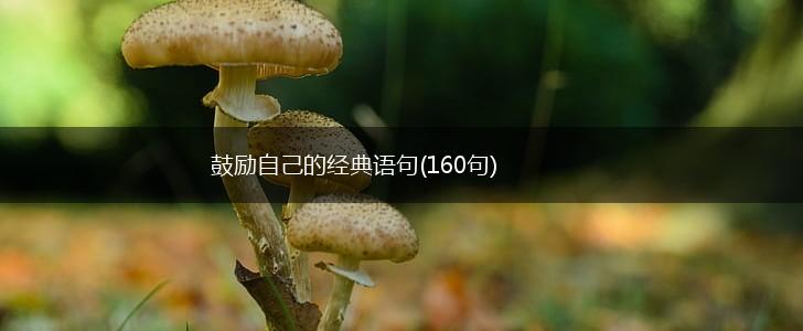 鼓励自己的经典语句(160句),第1张