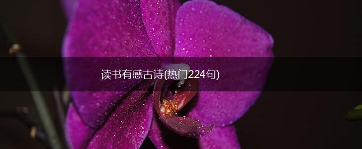 读书有感古诗(热门224句),第1张