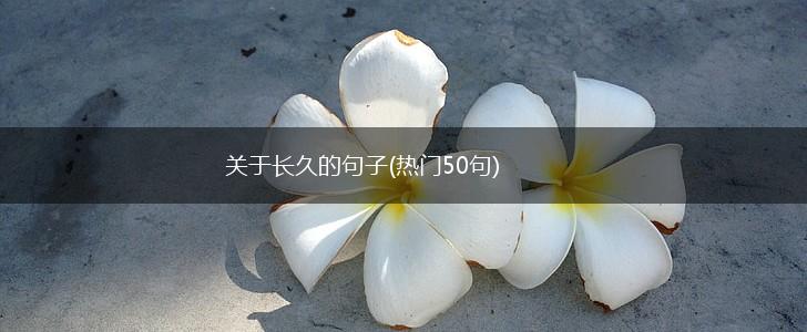 关于长久的句子(热门50句),第1张