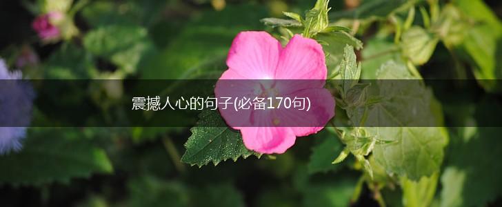 震撼人心的句子(必备170句),第1张