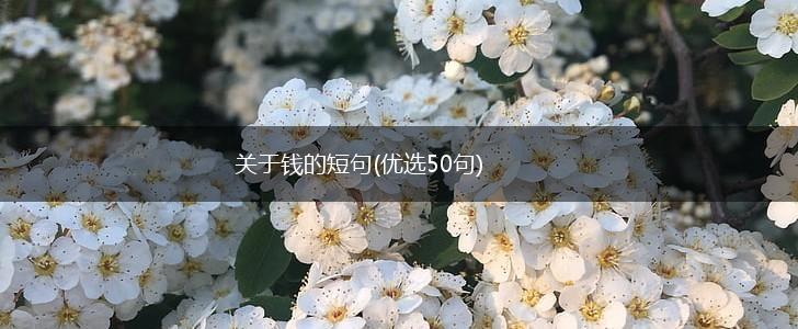 关于钱的短句(优选50句),第1张