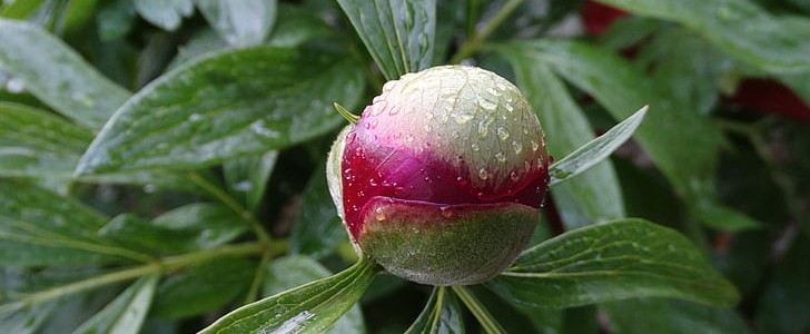 风景优美的句子(必备130句),第3张