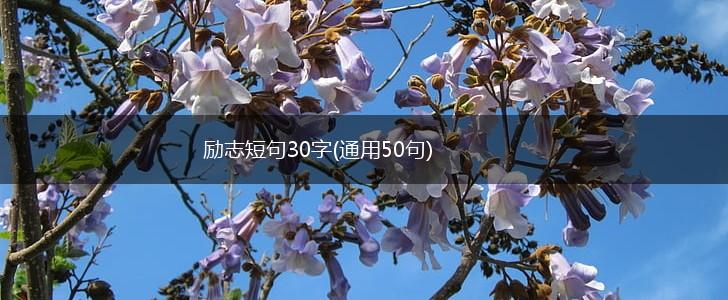 励志短句30字(通用50句),第1张