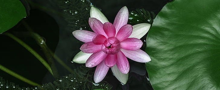 诚信的句子(合集160句),第2张