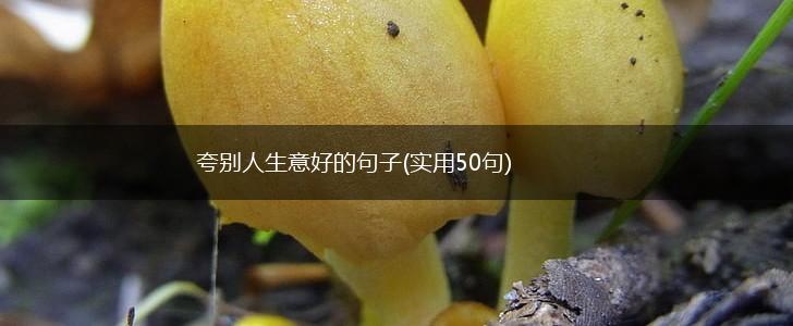 夸别人生意好的句子(实用50句),第1张